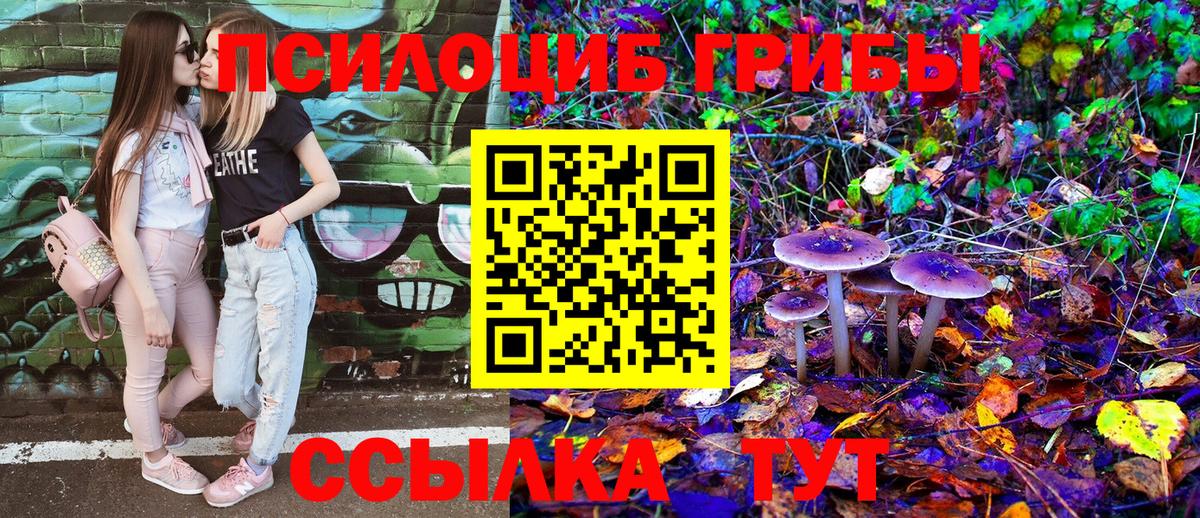 Псилоцибиновые грибы прущие грибы Губкин
